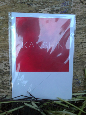 cover of Kanshin compilation for Japan